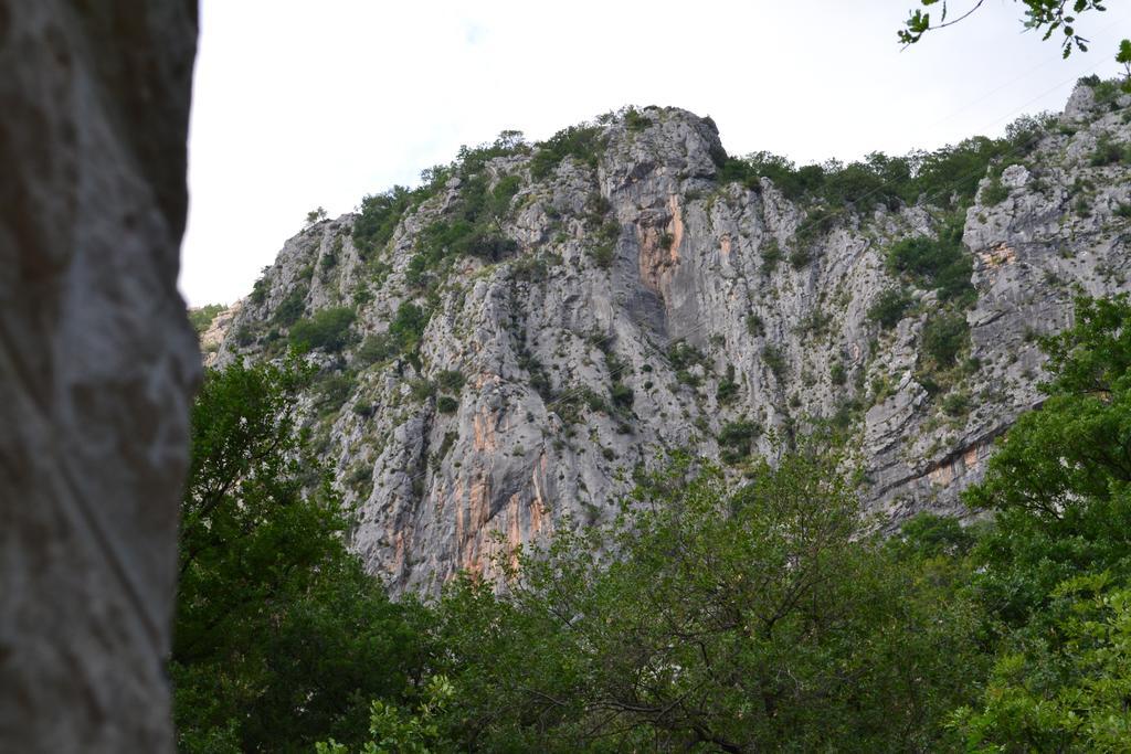Abc Apartments Kotor Eksteriør bilde